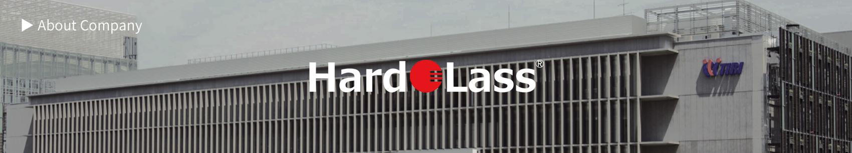 HardoLass Holdings Company Profile
