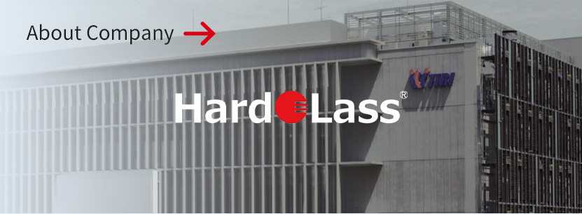 HardoLass Holdings Company Profile